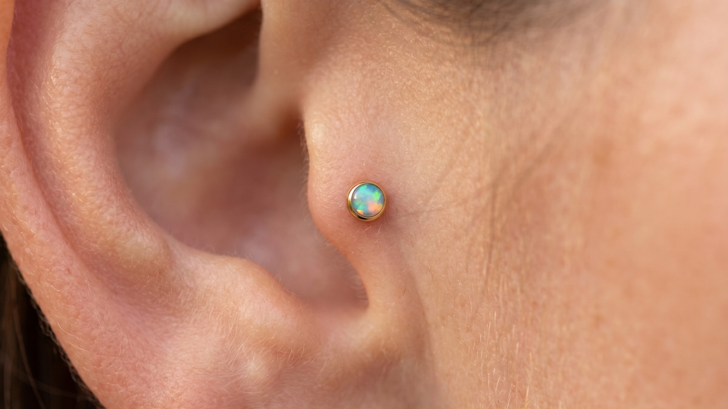 an ear focusing on the tragus, with a tiny gold PVD titanium flat-back labret with a small opal top