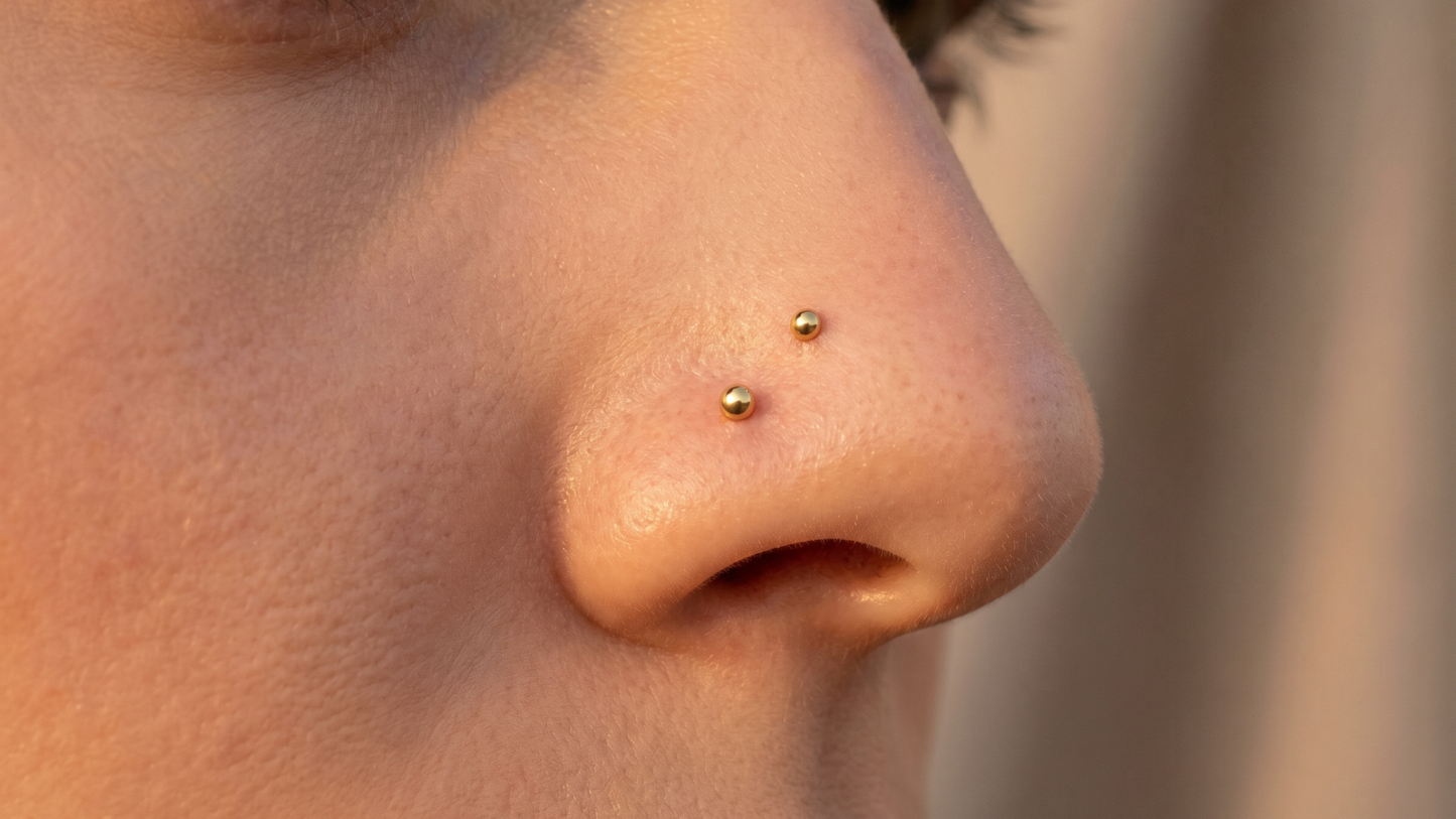 showing two nostril piercings on the same side: a standard nostril stud at the natural crease and a high nostril stud higher up the nose wing