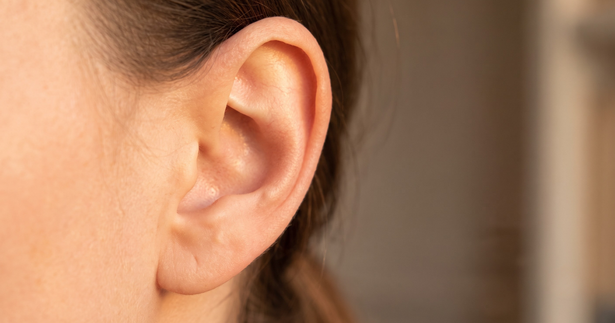 Ear Anatomy Mapped: Every Piercing Position Explained