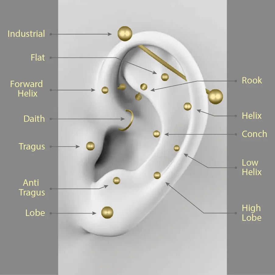 tipos de piercing na orelha, lóbulo, hélix, tragus, conch, rook, flat, forward helix, industrial, entre outros — guia visual educativo da loja de piercings Piercepective
