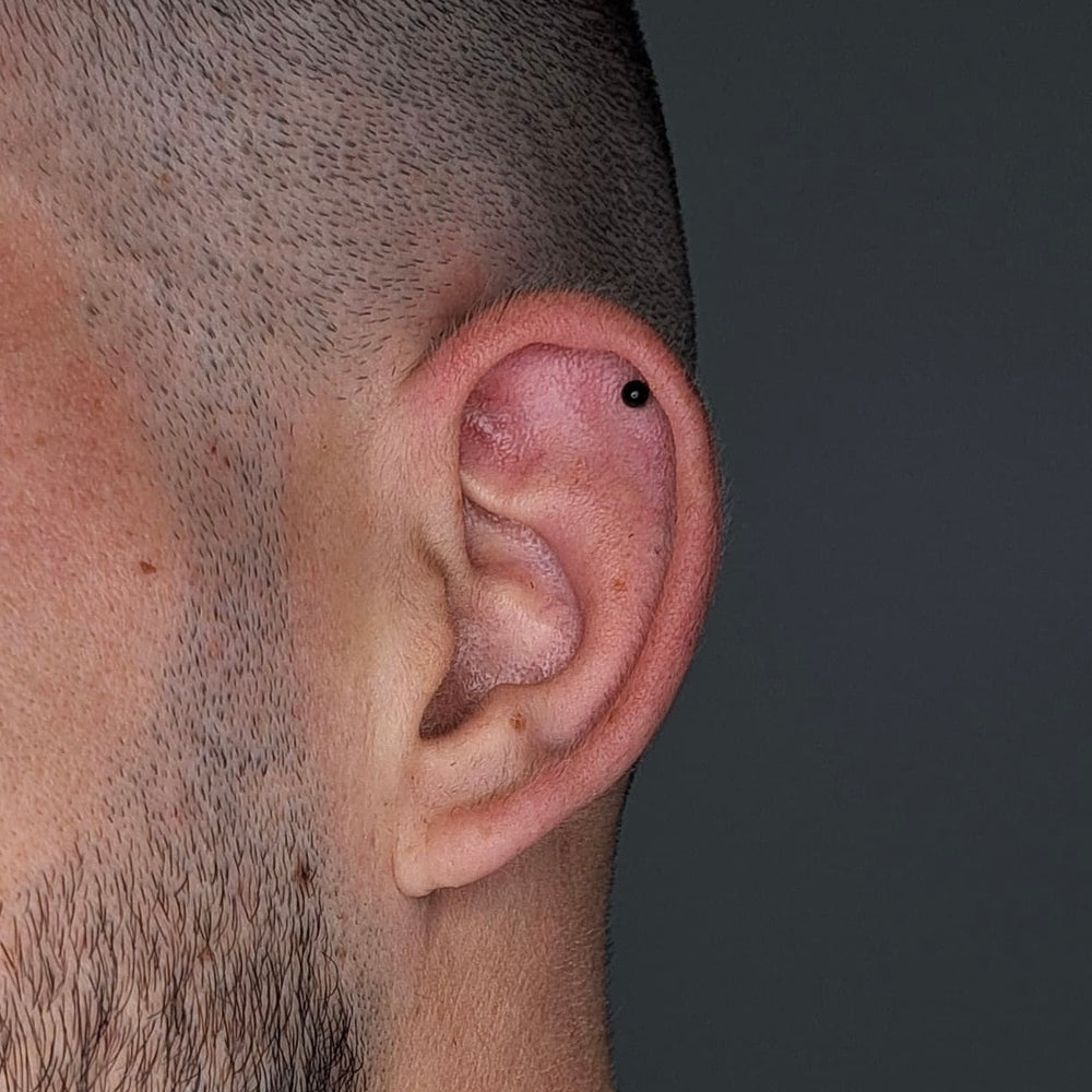 
                  
                    Labret c/ Bola Rosca Interna Titânio ASTM BLACK Piercepective Black
                  
                