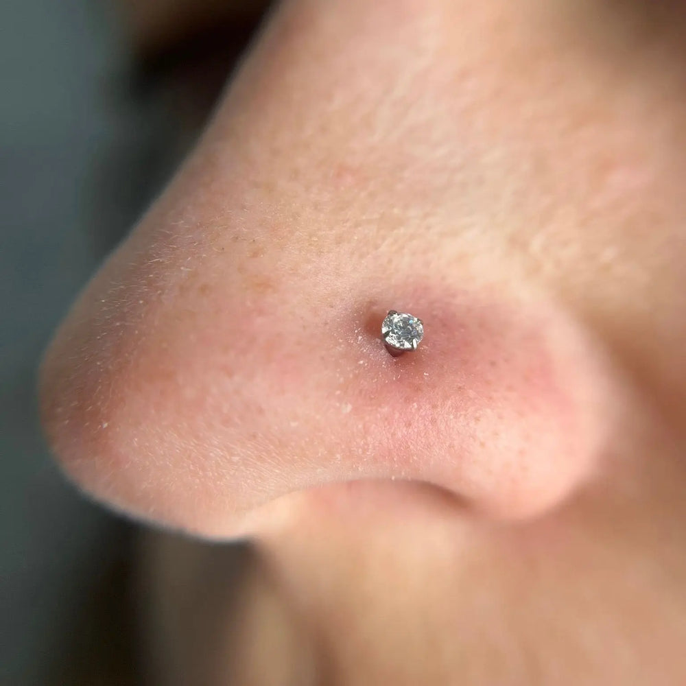 
                  
                    Labret com Zircónia Cravejada – Rosca Interna Titânio Piercepective
                  
                