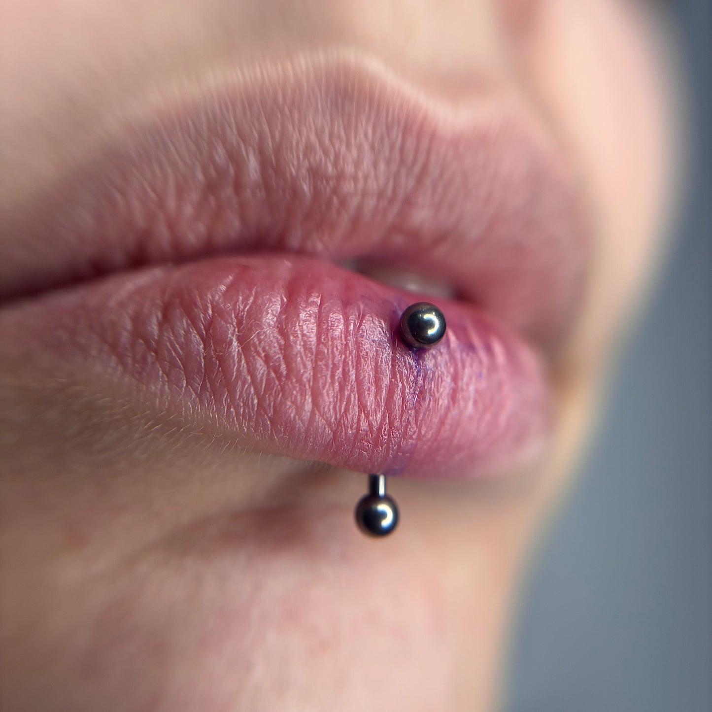 Barbell Curvo c/ Bolas Titânio ASTM Piercepective