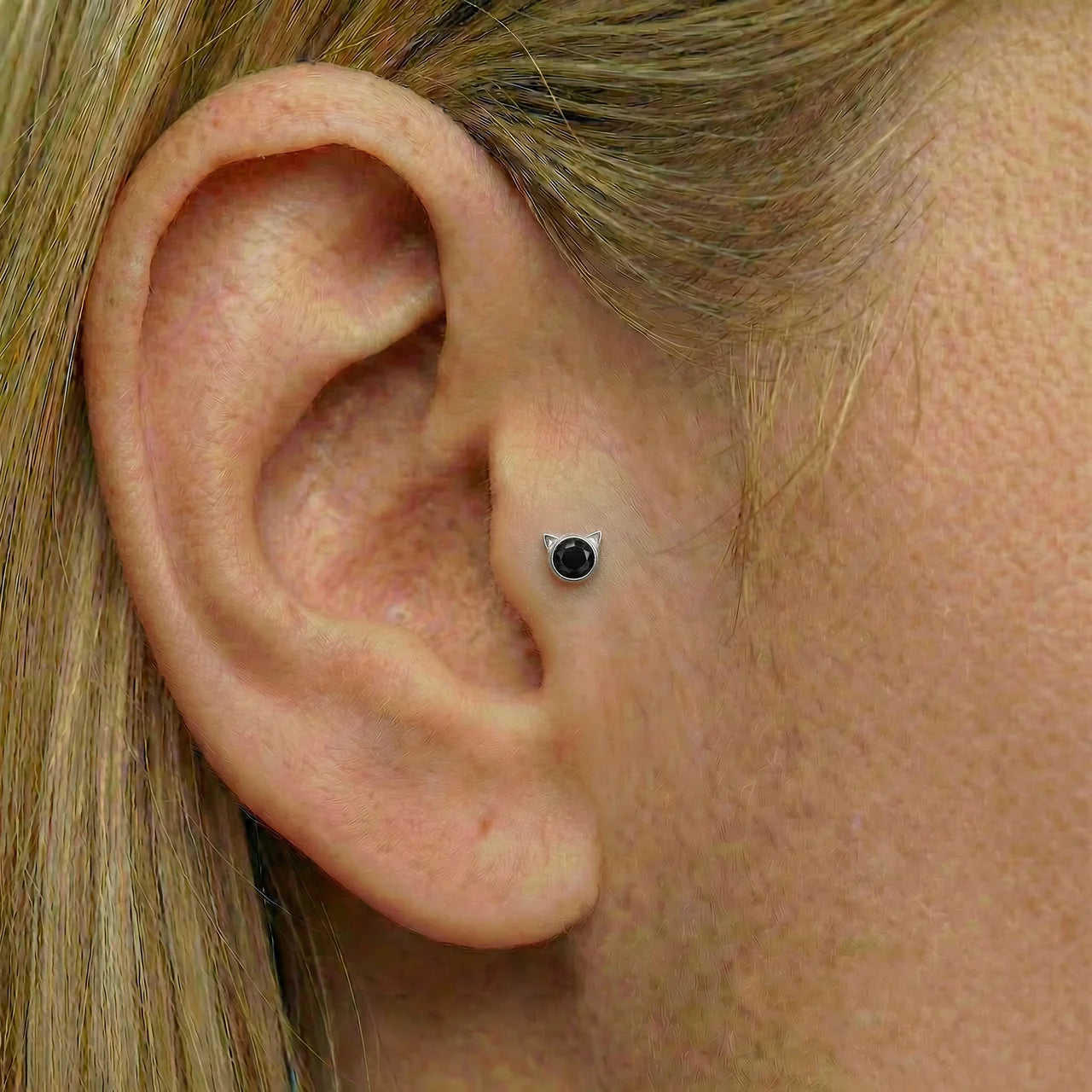 
                  
                    Topo Zircónia Orelhas de Gato 
                  
                