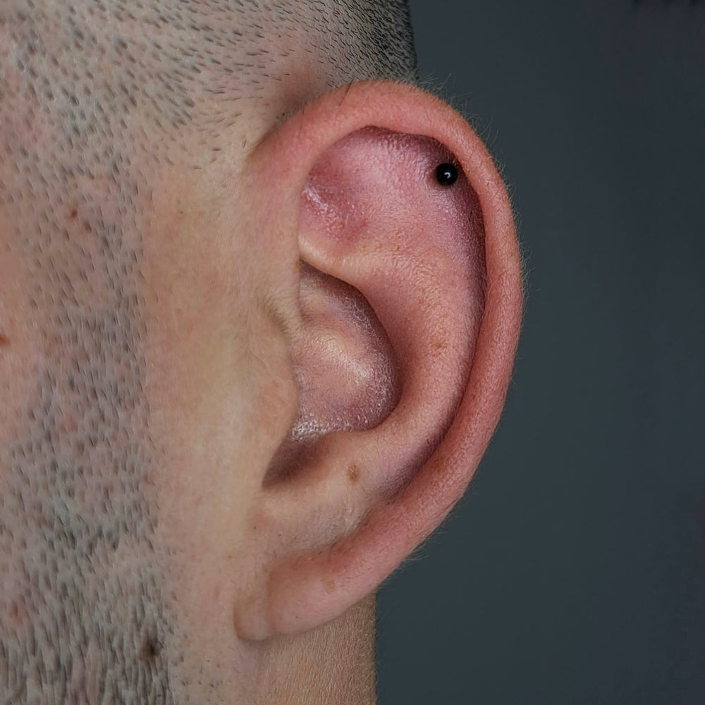 
                  
                    Labret c/ Bola Rosca Interna Titânio ASTM BLACK Piercepective Black
                  
                