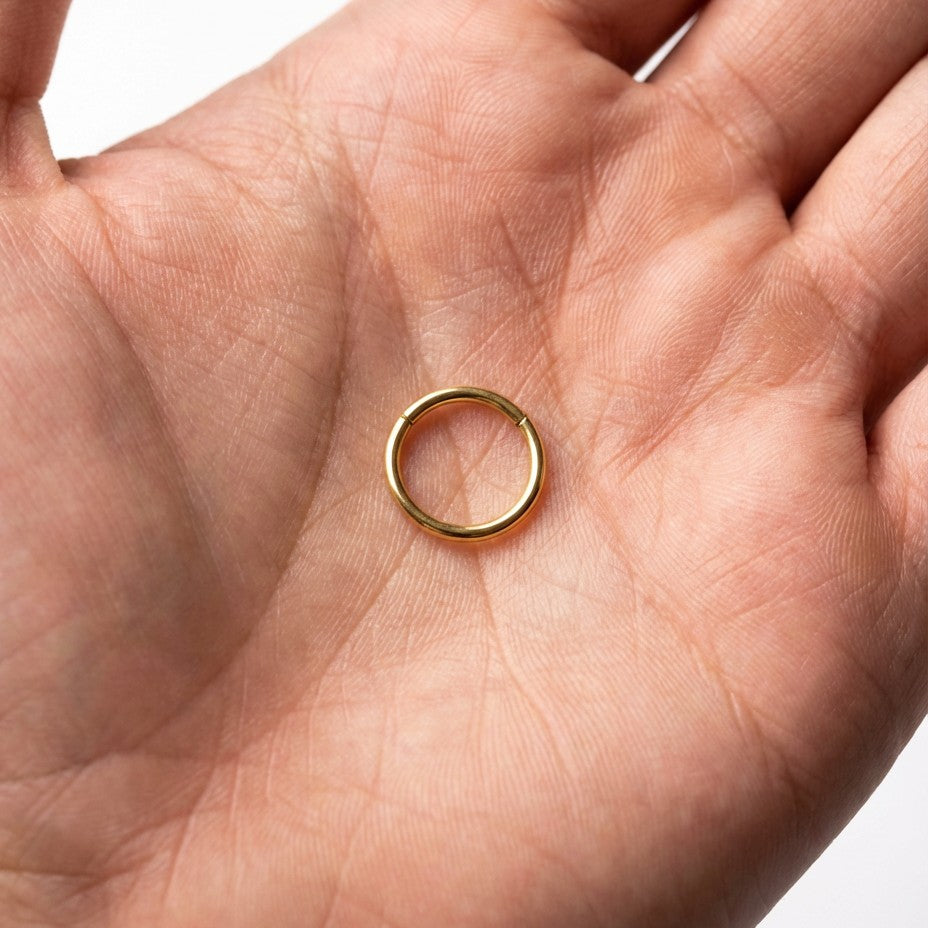 
                  
                    Argola Básica – Clicker em Titânio PVD Gold
                  
                