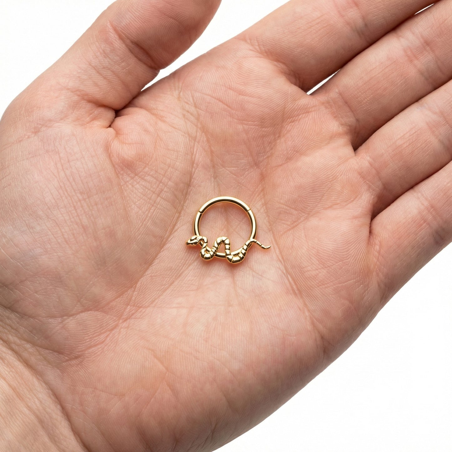 
                  
                    argola cobra titanio gold
                  
                