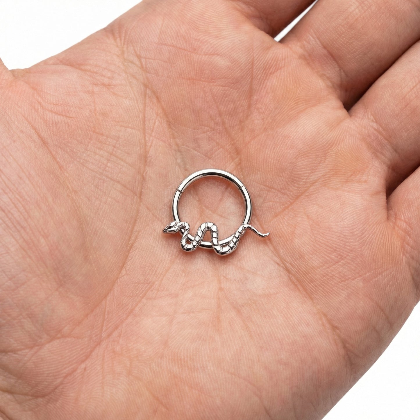 
                  
                    argola cobra em titanio
                  
                