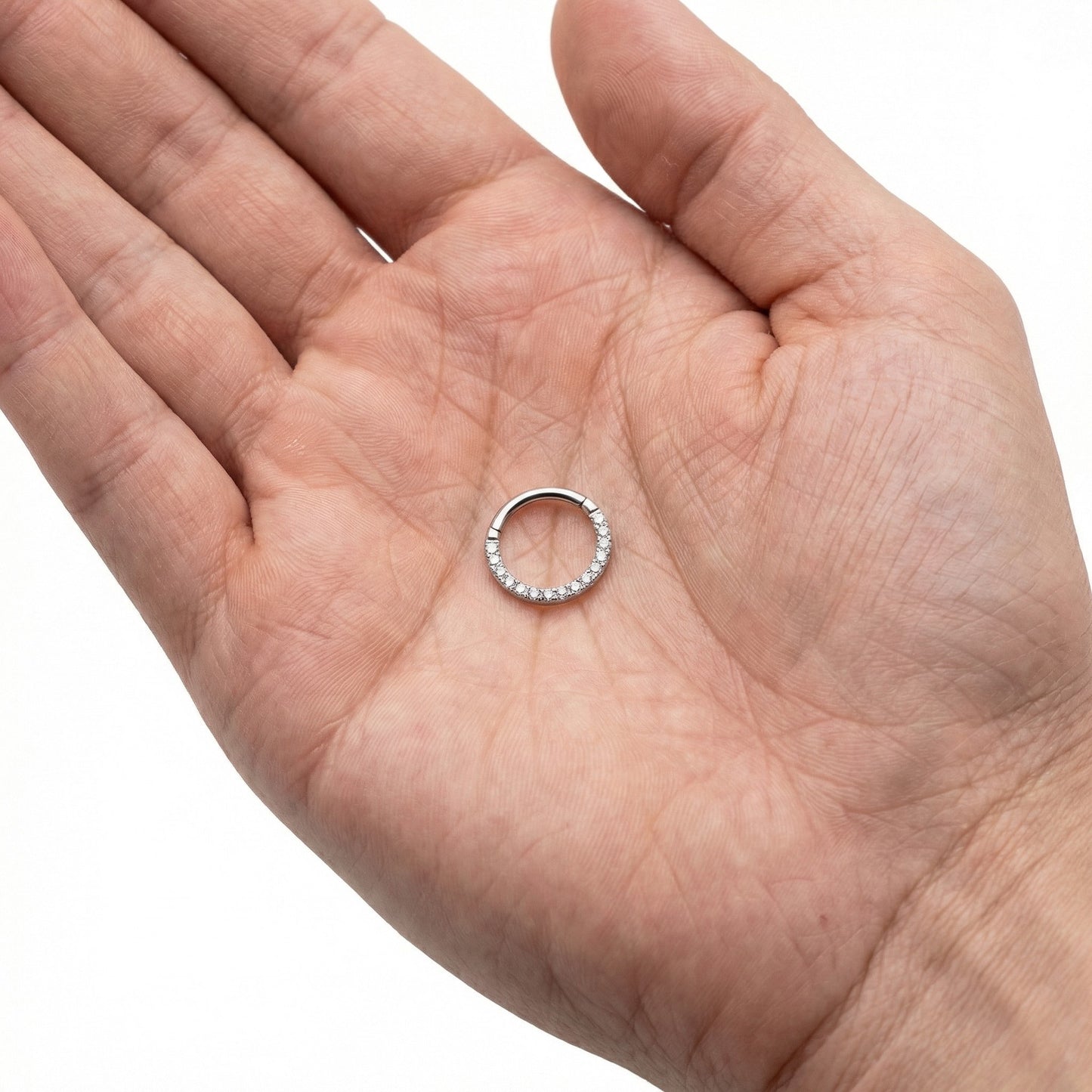 
                  
                    argola com zirconias titanio
                  
                