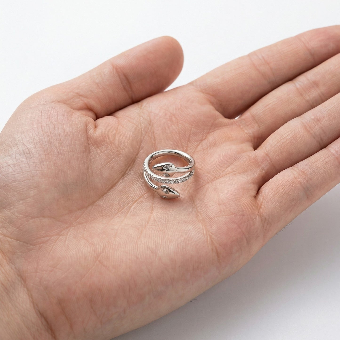 
                  
                    Argola Serpente com Zircónias – Clicker Titânio ASTM
                  
                