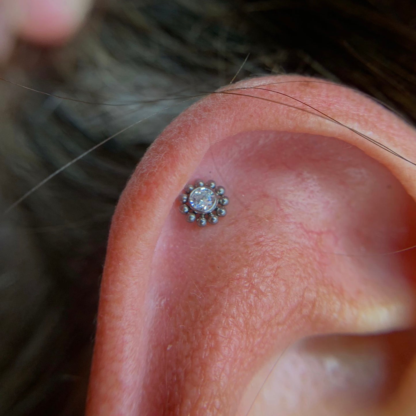 Labret com design floral e zircónia central aplicada no hélix em Titânio com rosca interna