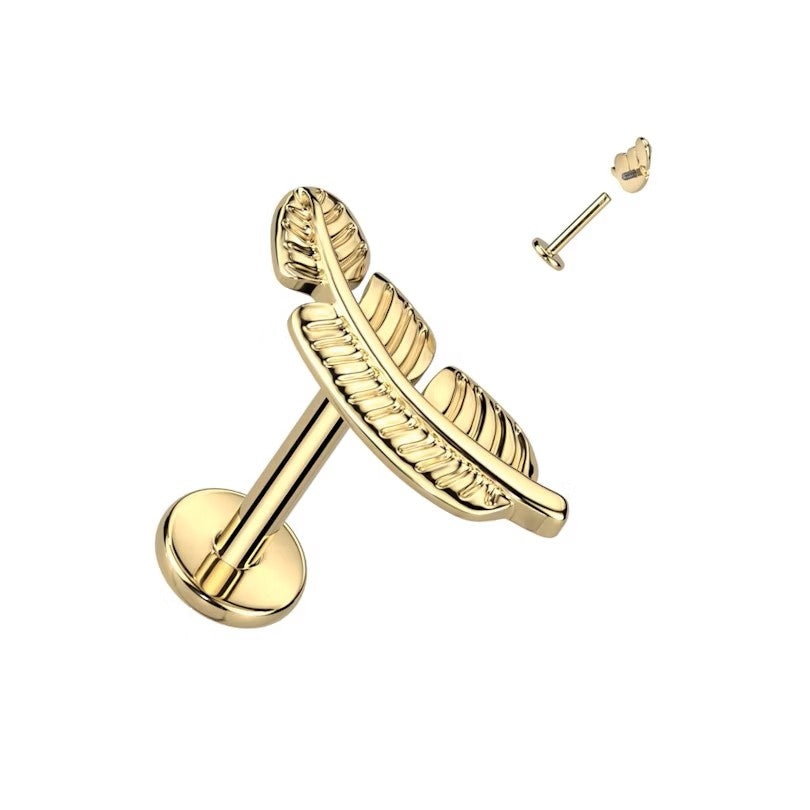 Labret dourado com forma de pena, titânio ASTM, rosca interna