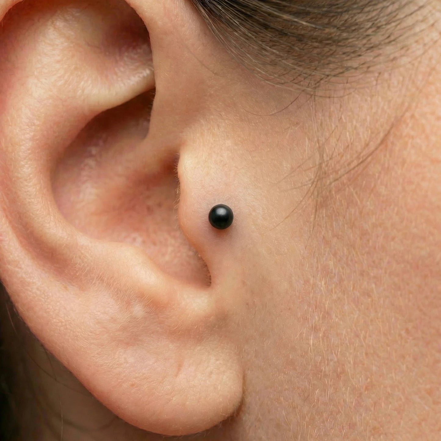 labret com bola pvd black , piercing tragus