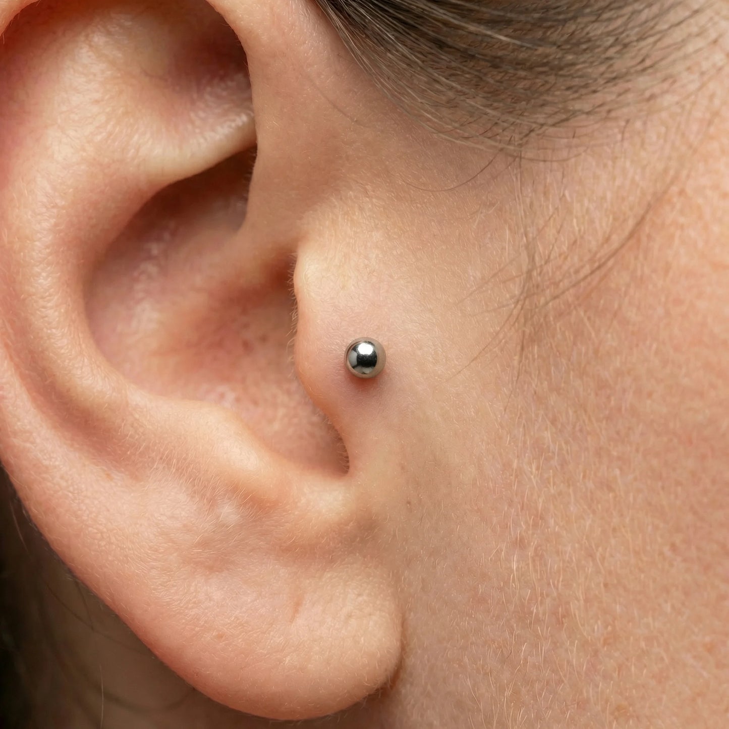 labret com bola titanio