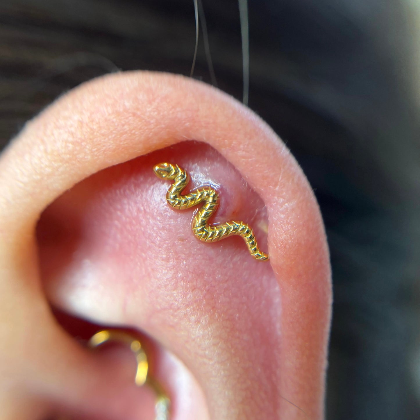 Labret serpente em Titânio PVD Gold com rosca interna, acabamento detalhado e sofisticado